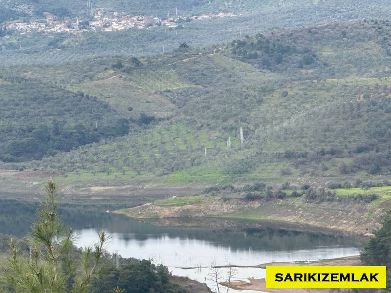 Havran Hallaçlar Mah`daZeytinlik. - 8